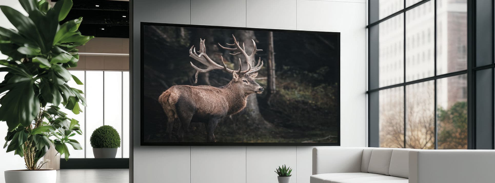 Frame Vision Light